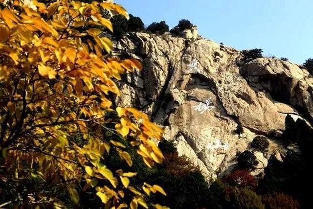 大杨山国家森林公园，大杨山国家森林公园（大杨山国家森林公园开放时间）
