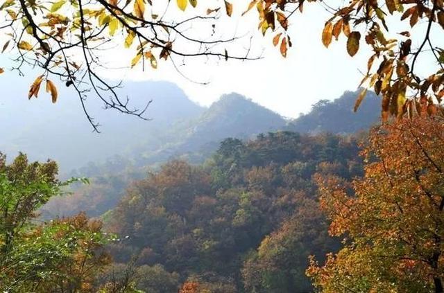 大杨山国家森林公园，大杨山国家森林公园（大杨山国家森林公园开放时间）