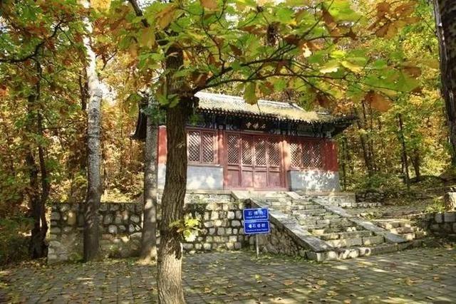 大杨山国家森林公园，大杨山国家森林公园（大杨山国家森林公园开放时间）