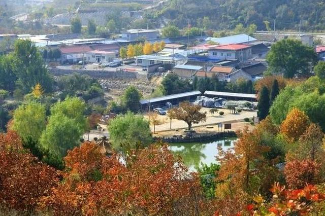 大杨山国家森林公园，大杨山国家森林公园（大杨山国家森林公园开放时间）