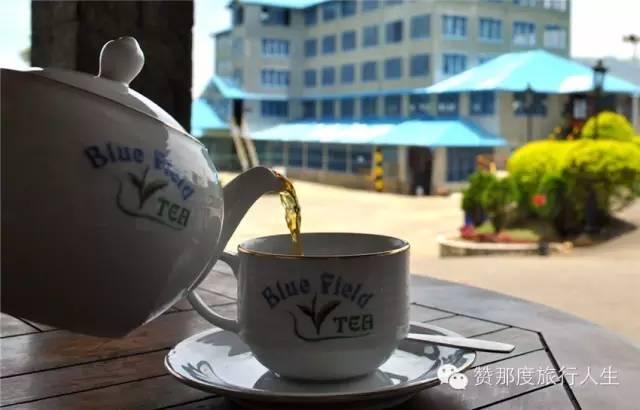 斯里兰卡红茶好在哪里，斯里兰卡红茶全攻略