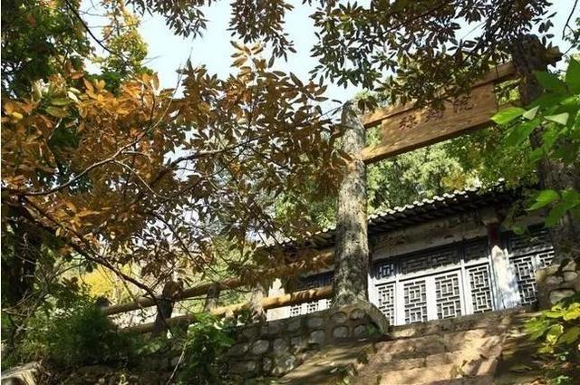 大杨山国家森林公园，大杨山国家森林公园（大杨山国家森林公园开放时间）