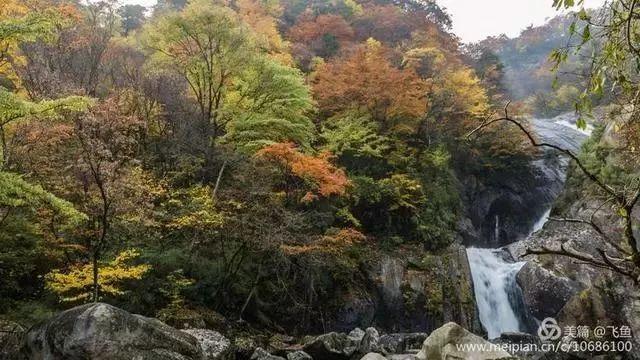 光雾山最佳观赏红叶路线，又是一年红叶季