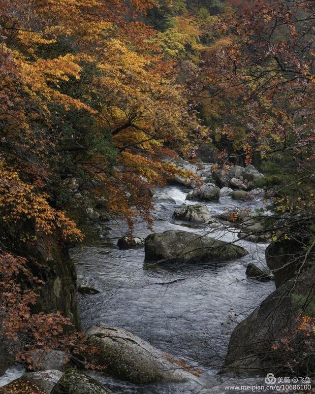 光雾山最佳观赏红叶路线，又是一年红叶季