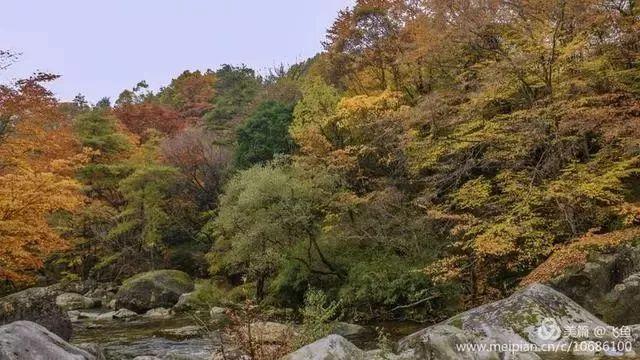 光雾山最佳观赏红叶路线，又是一年红叶季