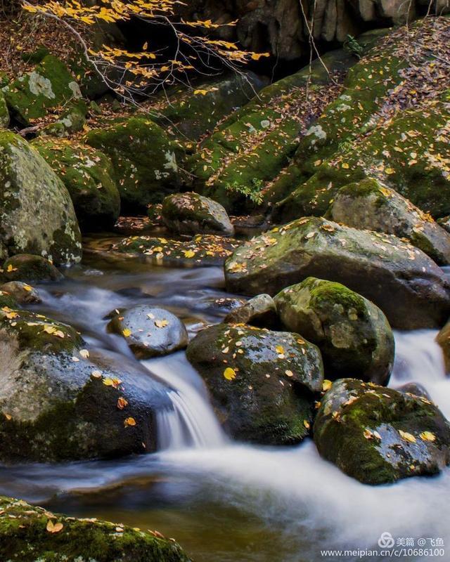 光雾山最佳观赏红叶路线，又是一年红叶季