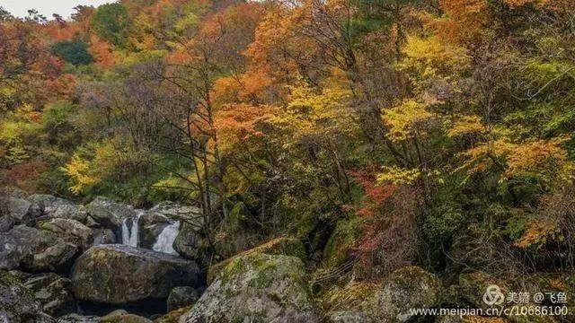 光雾山最佳观赏红叶路线，又是一年红叶季