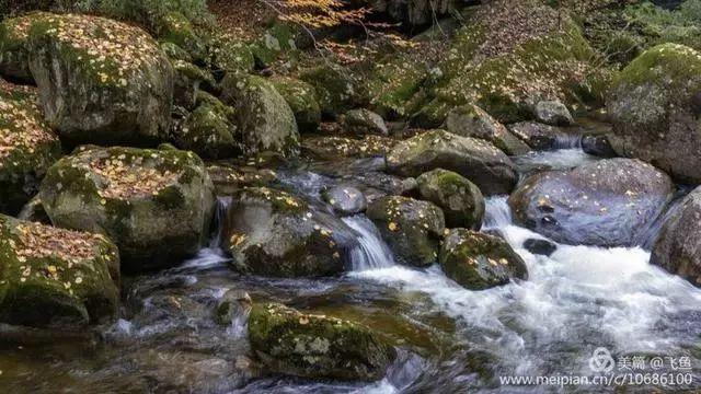 光雾山最佳观赏红叶路线，又是一年红叶季