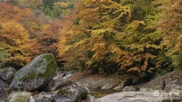 光雾山最佳观赏红叶路线，又是一年红叶季