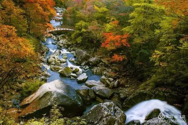 光雾山最佳观赏红叶路线，又是一年红叶季