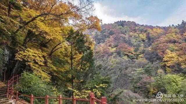 光雾山最佳观赏红叶路线，又是一年红叶季