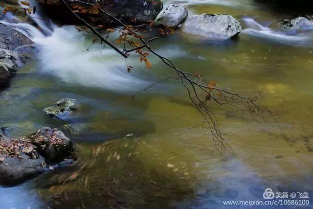 光雾山最佳观赏红叶路线，又是一年红叶季