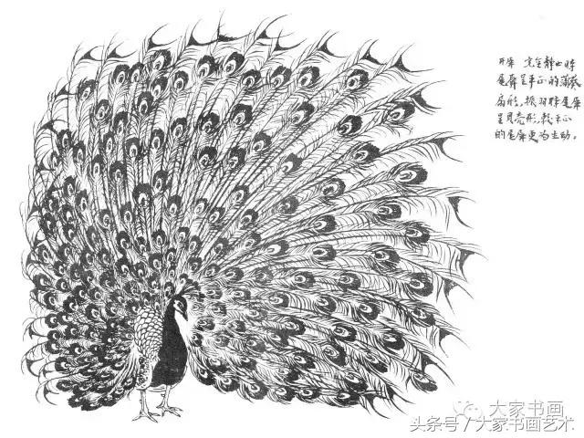 花鸟画作品欣赏，立体横幅小写意花鸟画100幅（精品花鸟画30幅，欣赏）