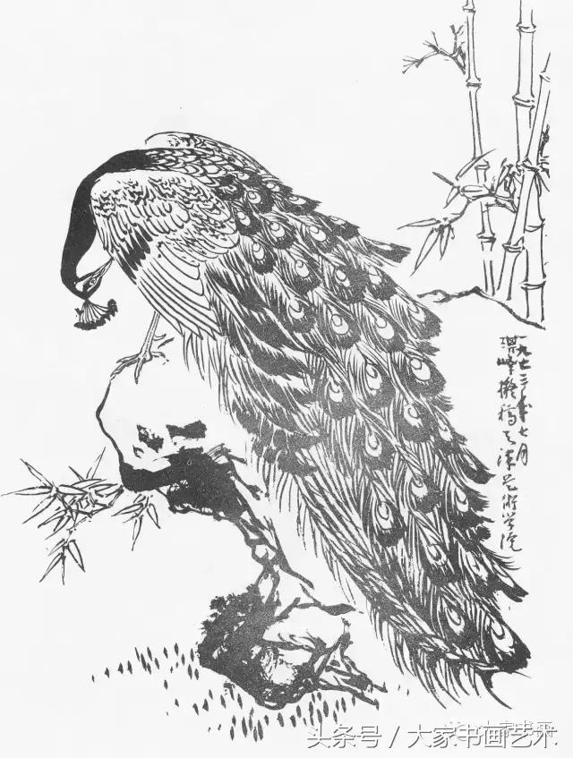 花鸟画作品欣赏，立体横幅小写意花鸟画100幅（精品花鸟画30幅，欣赏）