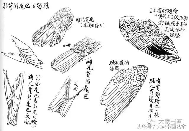 花鸟画作品欣赏，立体横幅小写意花鸟画100幅（精品花鸟画30幅，欣赏）