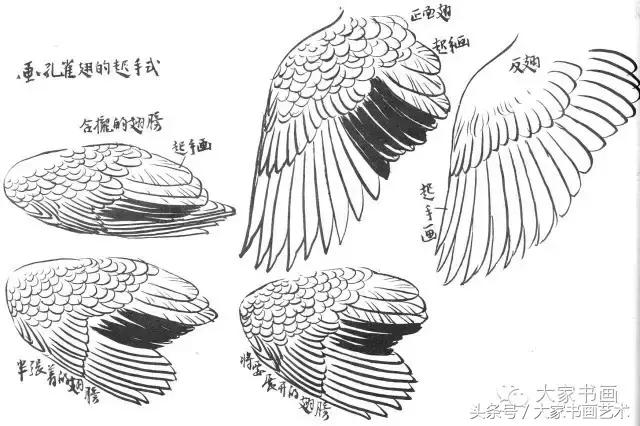 花鸟画作品欣赏，立体横幅小写意花鸟画100幅（精品花鸟画30幅，欣赏）