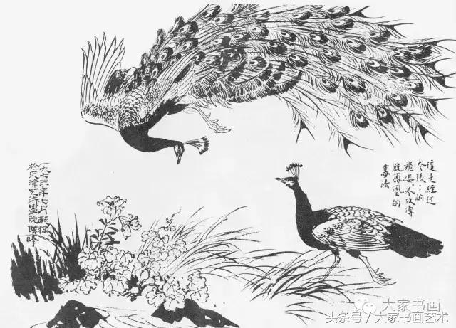 花鸟画作品欣赏，立体横幅小写意花鸟画100幅（精品花鸟画30幅，欣赏）