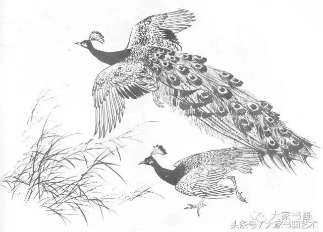 花鸟画作品欣赏，立体横幅小写意花鸟画100幅（精品花鸟画30幅，欣赏）