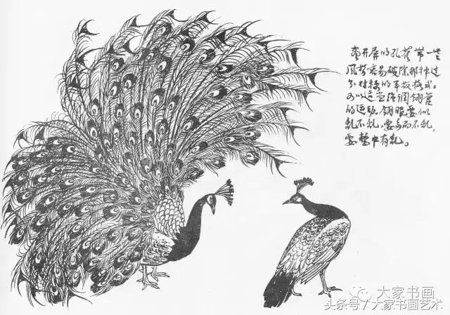 花鸟画作品欣赏，立体横幅小写意花鸟画100幅（精品花鸟画30幅，欣赏）