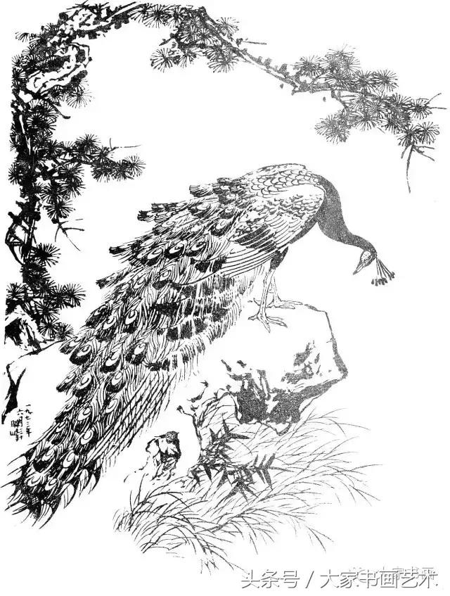 花鸟画作品欣赏，立体横幅小写意花鸟画100幅（精品花鸟画30幅，欣赏）