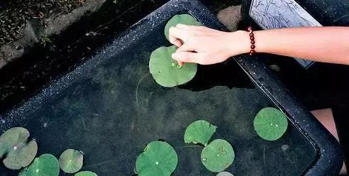 晚安美图170724：善良的人，运气永远都不会差