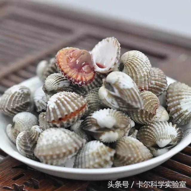 蛤蜊有什么不能吃的，吃了这种蛤蜊你满口是血