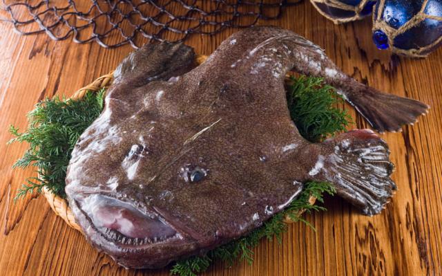 厦门最便宜的海鲜，这些其丑无比的海鲜