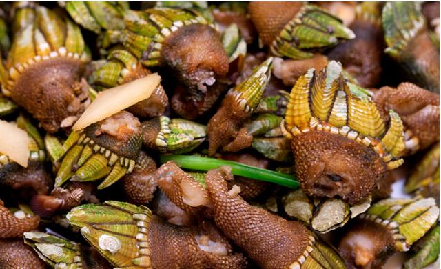 厦门最便宜的海鲜，这些其丑无比的海鲜