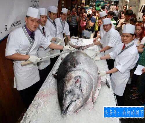 100只怪兽图片，被捕获的最大的20个巨型怪兽（10大巨型怪兽排行）