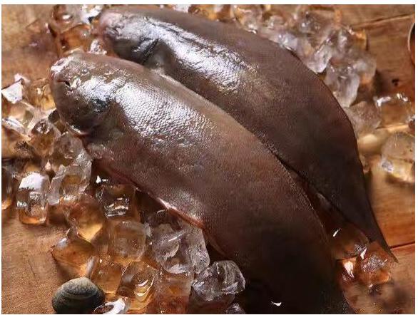 厦门最便宜的海鲜，这些其丑无比的海鲜