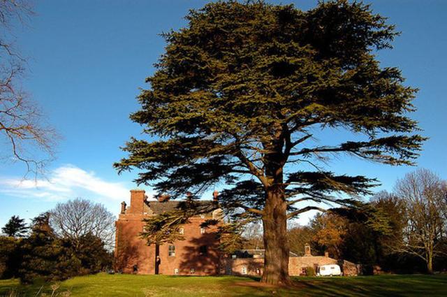 圣经伊甸园什么样子，乡土作家袁炳纲新作《伊甸园》