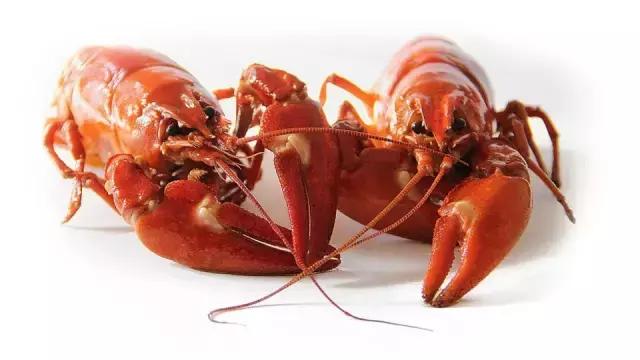 不去虾线能吃吗，虾的虾线不去能吃吗