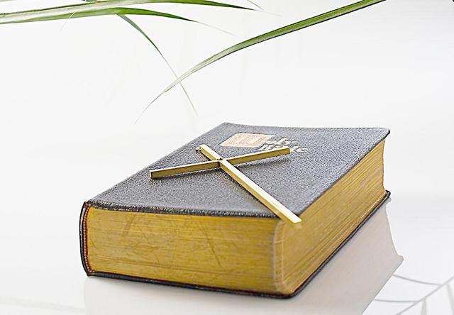 圣经伊甸园什么样子，乡土作家袁炳纲新作《伊甸园》