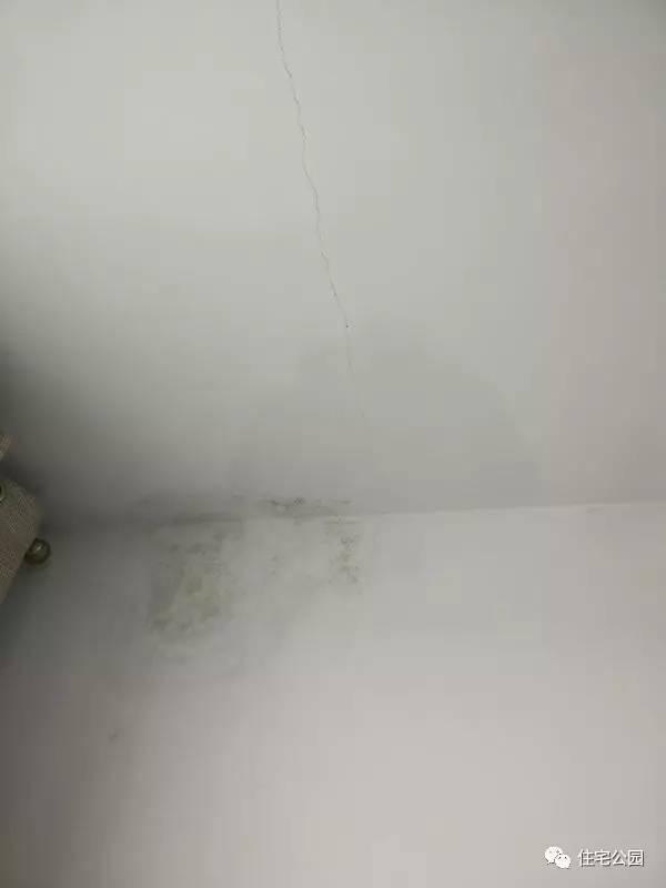 楼上漏水如何补漏，房顶漏水如何补救（这些办法都能解决）