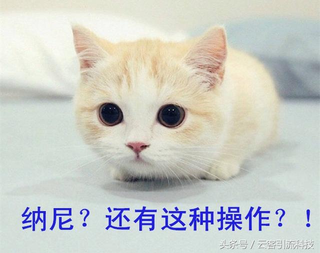 免费引流之4步教你轻松霸屏百度贴吧