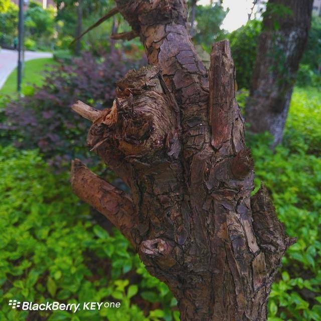 黑莓keyone，黑莓keyone怎么看版本