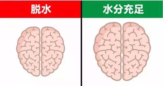 玩游戏会让人变傻，关于大脑的九件事