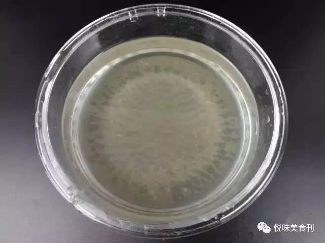 蚬子怎么吐沙子干净快，蛤蜊最快吐沙最干净方法（蚬子怎么做没有沙子还不腥）