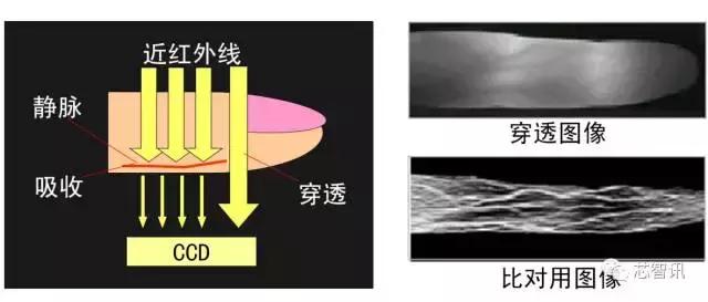 生物识别技术革新，带你走进生物识别技术