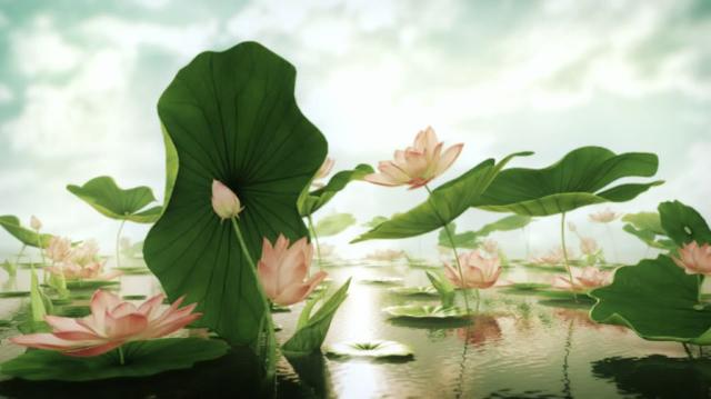 去湿热最好的方法，祛除体内湿热有3大诀窍（教你两味药黄金搭配）