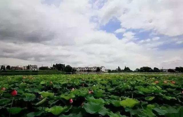 芜湖旅游景点攻略，芜湖旅游攻略景点必去（你必须要去的九大美景）
