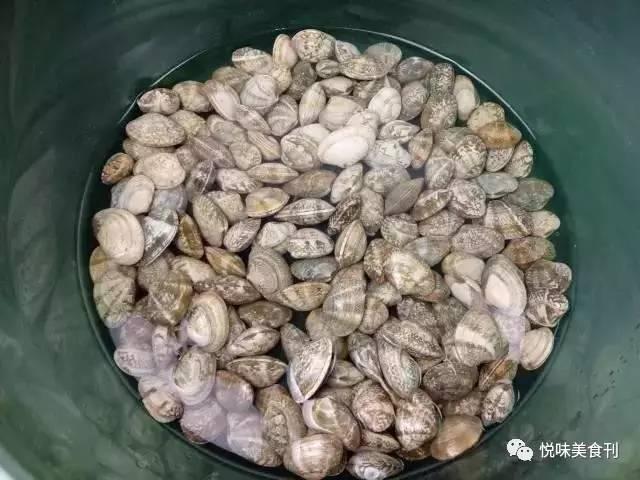 蚬子怎么吐沙子干净快，蛤蜊最快吐沙最干净方法（蚬子怎么做没有沙子还不腥）