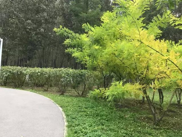 森林公园门票包含哪些，这个森林公园18683亩