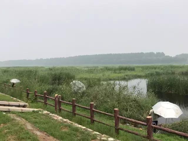 森林公园门票包含哪些，这个森林公园18683亩
