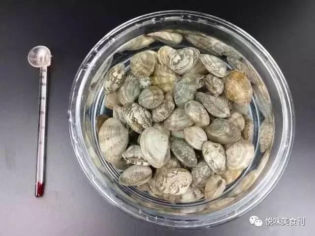 蚬子怎么吐沙子干净快，蛤蜊最快吐沙最干净方法（蚬子怎么做没有沙子还不腥）