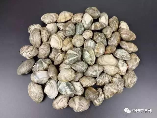 蚬子怎么吐沙子干净快，蛤蜊最快吐沙最干净方法（蚬子怎么做没有沙子还不腥）
