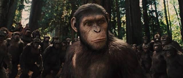 大猩猩最大寿命，史上最燃大猩猩临走前把人类干翻了