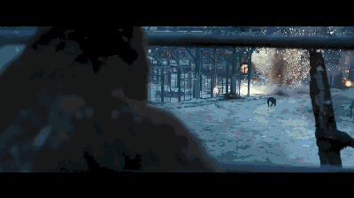 大猩猩最大寿命，史上最燃大猩猩临走前把人类干翻了