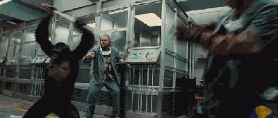 大猩猩最大寿命，史上最燃大猩猩临走前把人类干翻了