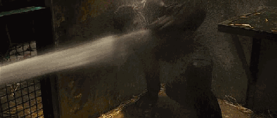 大猩猩最大寿命，史上最燃大猩猩临走前把人类干翻了